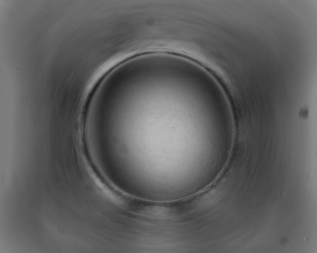 X0000093141517200709261414