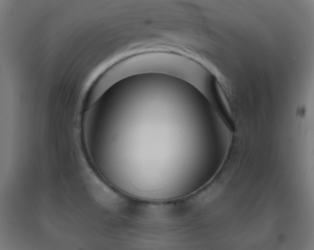X0000093141518200709261414