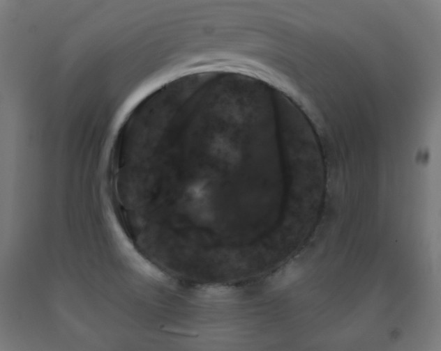 X0000093141522200709261414