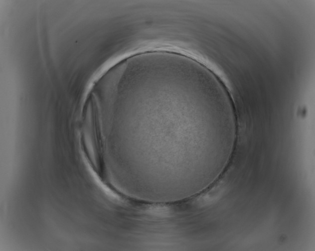 X0000093141525200709261414