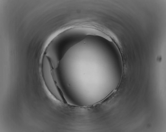 X0000093141528200709261414
