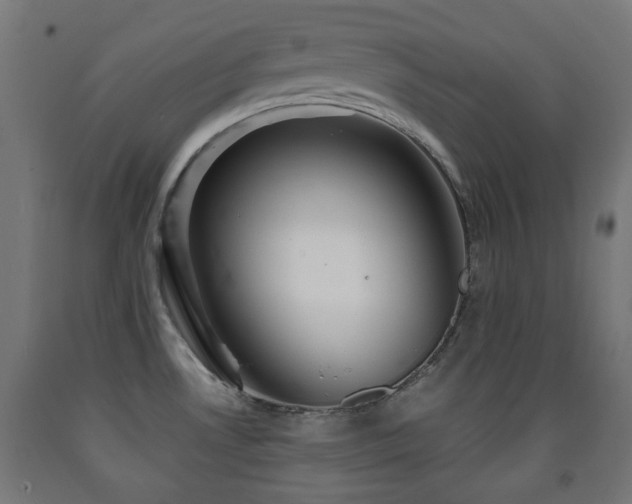 X0000093141530200709261414
