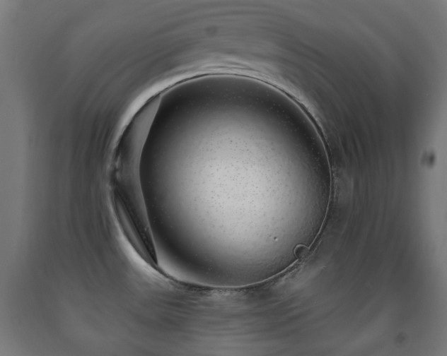 X0000093141531200709261414
