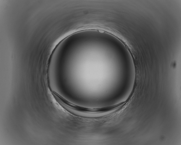 X0000093141534200709261414