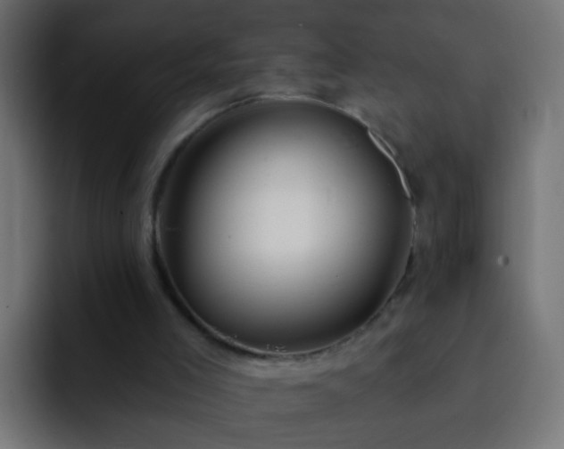 X0000093140005200710031418