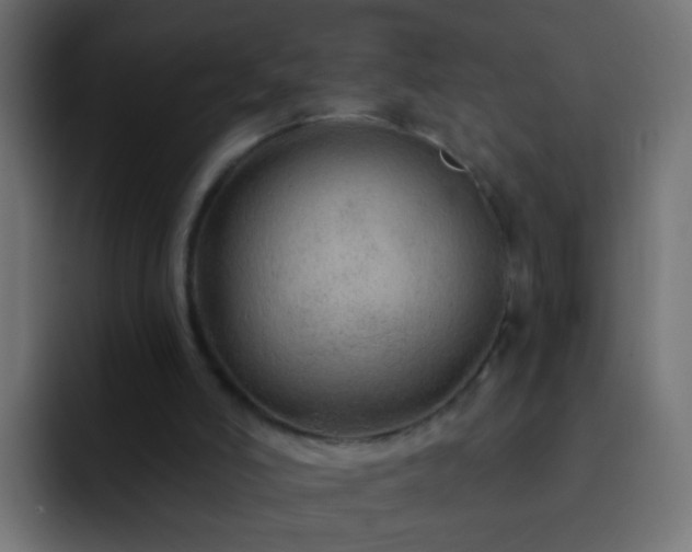 X0000093140006200710031418