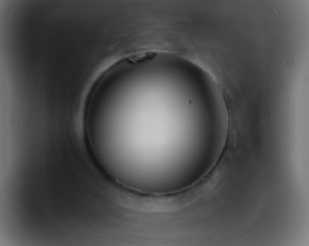 X0000093140008200710031418