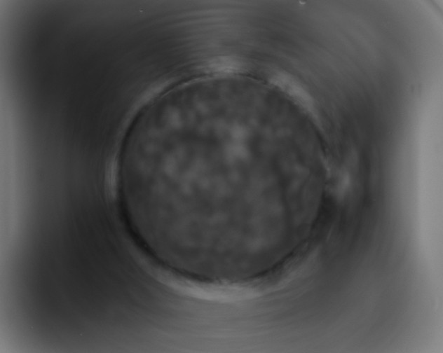 X0000093140012200710031418