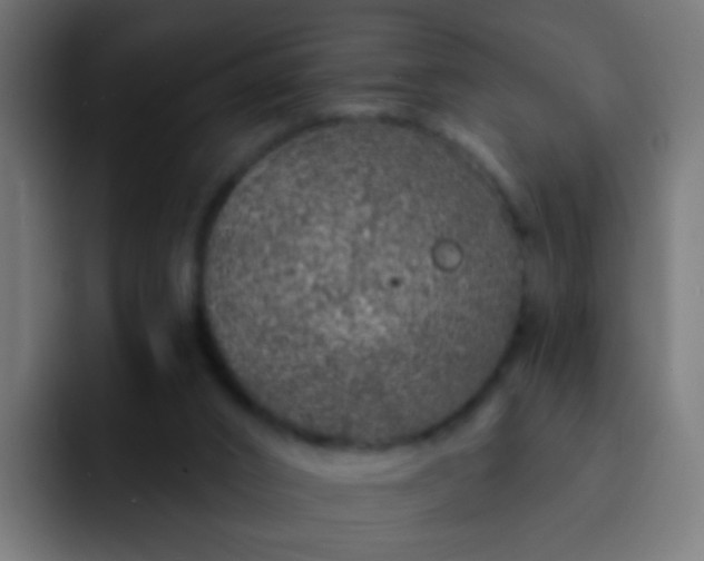 X0000093140016200710031418