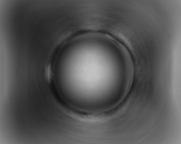 X0000093140020200710031418