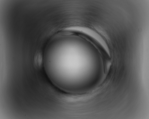 X0000093140021200710031418