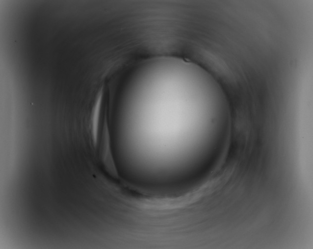 X0000093140025200710031418