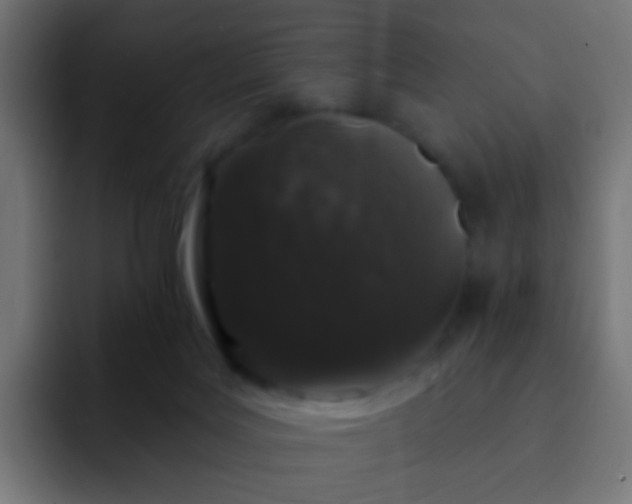 X0000093140027200710031418