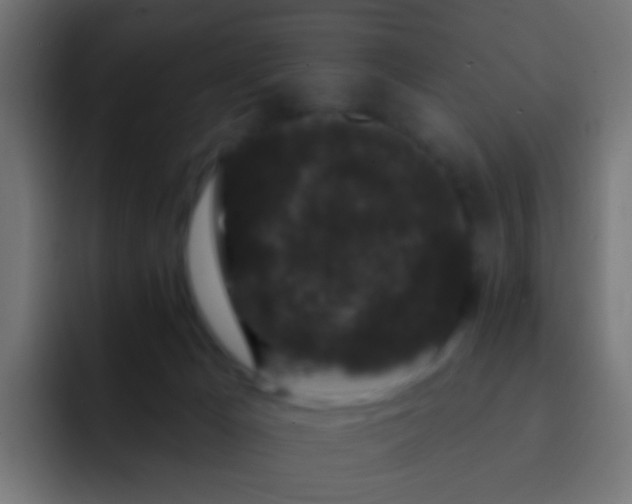 X0000093140029200710031418