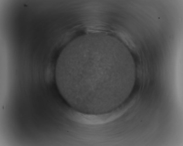 X0000093140030200710031418