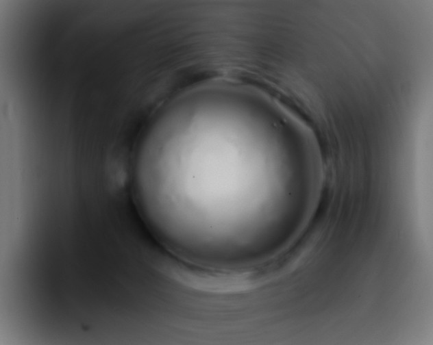 X0000093140032200710031418