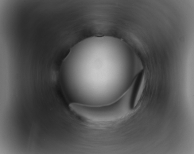 X0000093140033200710031418