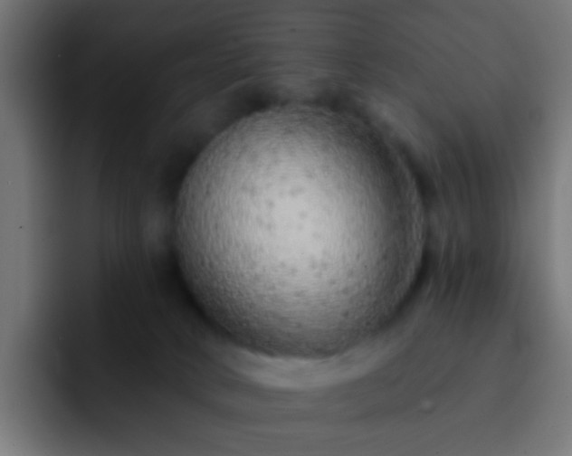 X0000093140034200710031418