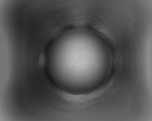 X0000093140038200710031418