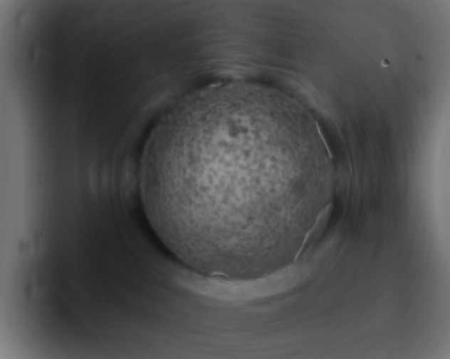 X0000093140043200710031418