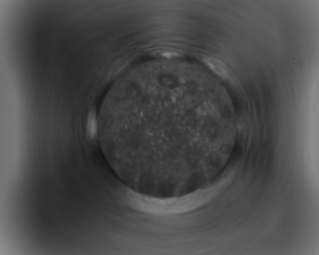 X0000093140046200710031418