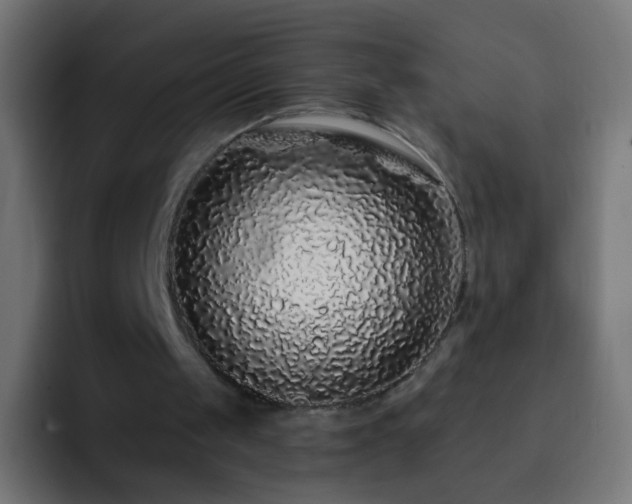 X0000093140049200710031417