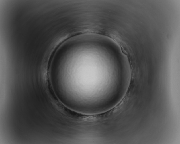 X0000093140050200710031417