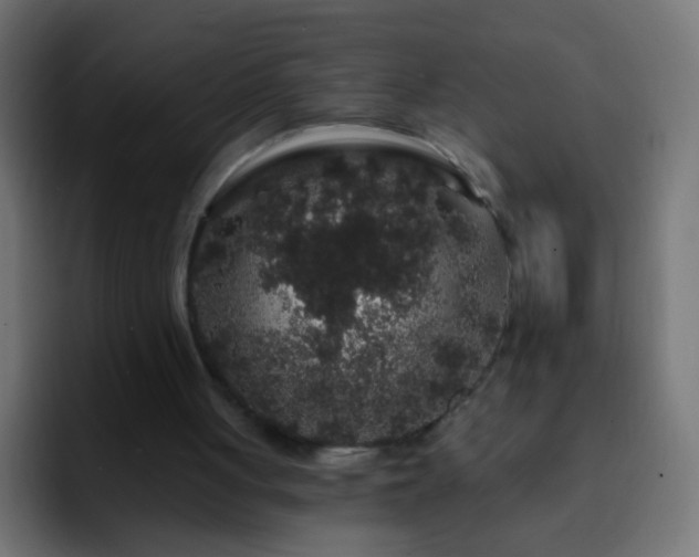 X0000093140051200710031417