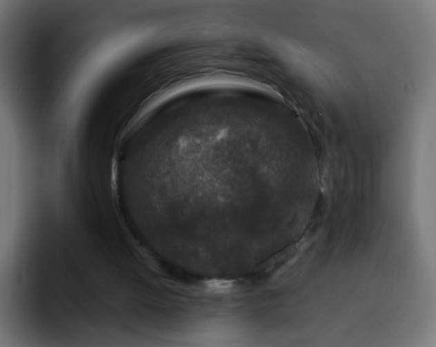 X0000093140052200710031417