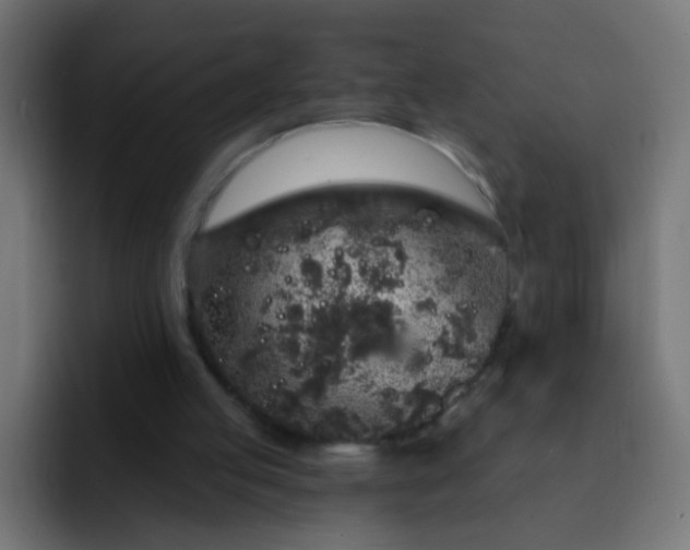 X0000093140053200710031417