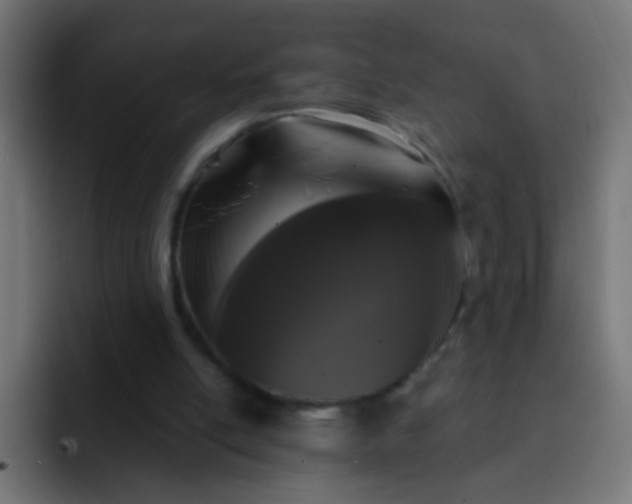 X0000093140054200710031417