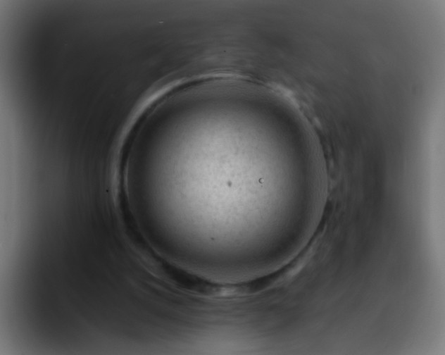 X0000093140056200710031417