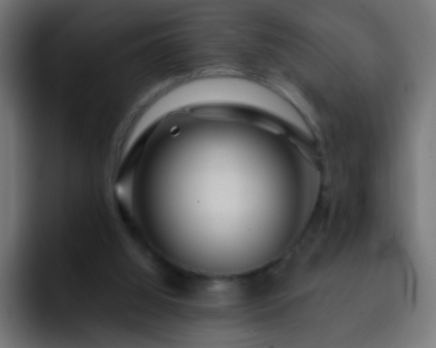 X0000093140060200710031417