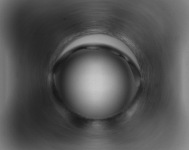 X0000093140064200710031417