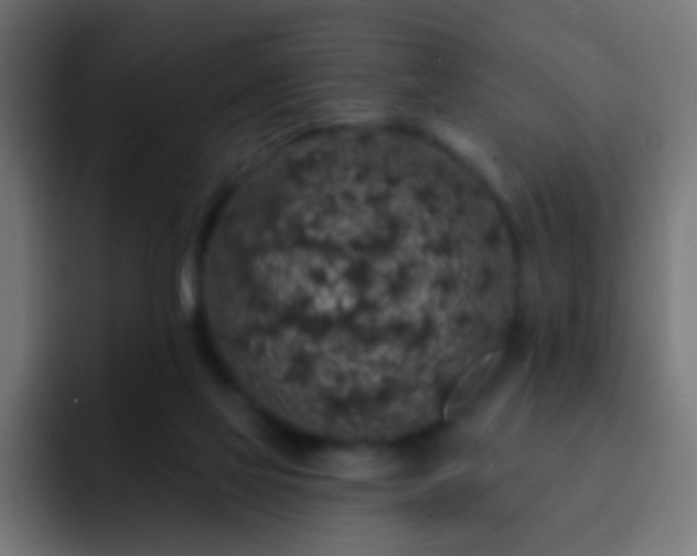 X0000093140069200710031417