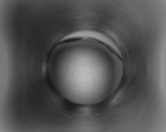 X0000093140071200710031417