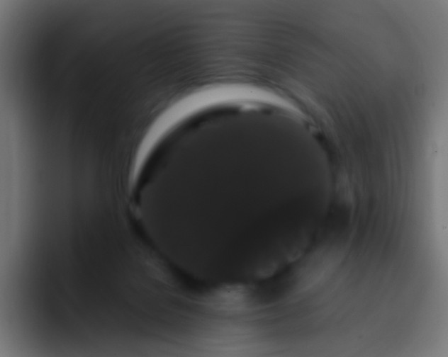 X0000093140076200710031417