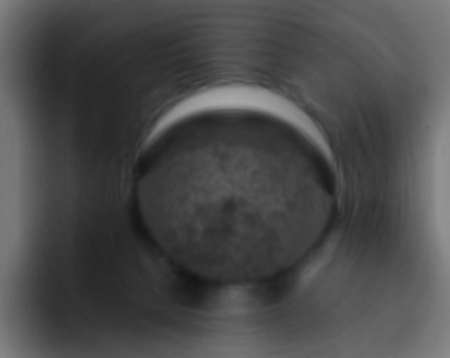 X0000093140080200710031417