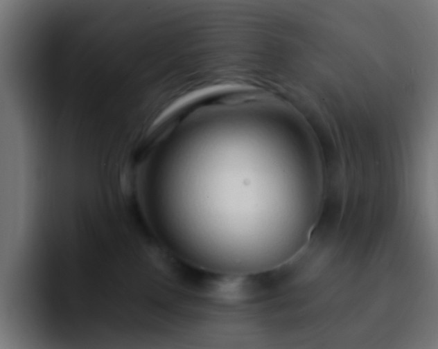 X0000093140090200710031417