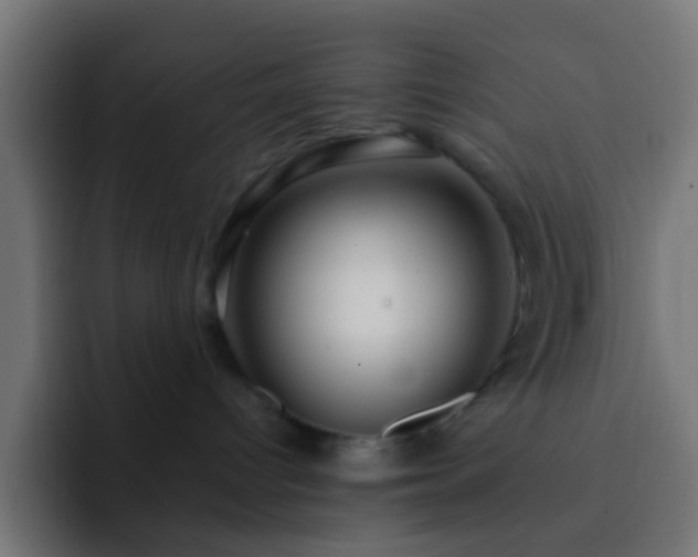 X0000093140096200710031417