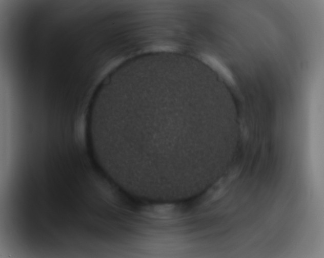 X0000093140108200710031417