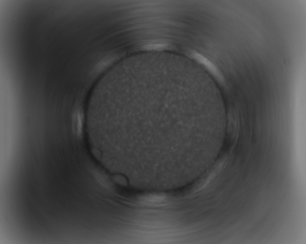 X0000093140110200710031417