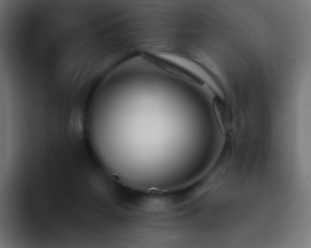 X0000093140115200710031417