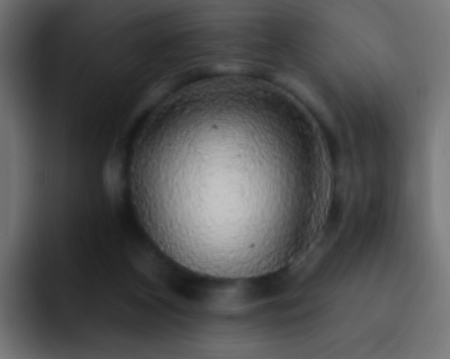 X0000093140116200710031417