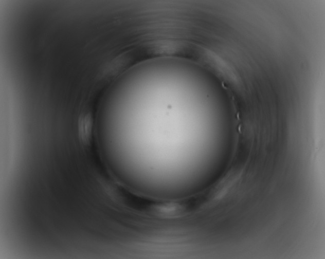 X0000093140118200710031417