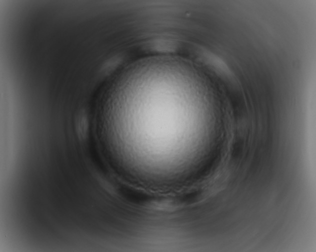 X0000093140120200710031417