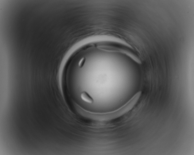 X0000093140129200710031417