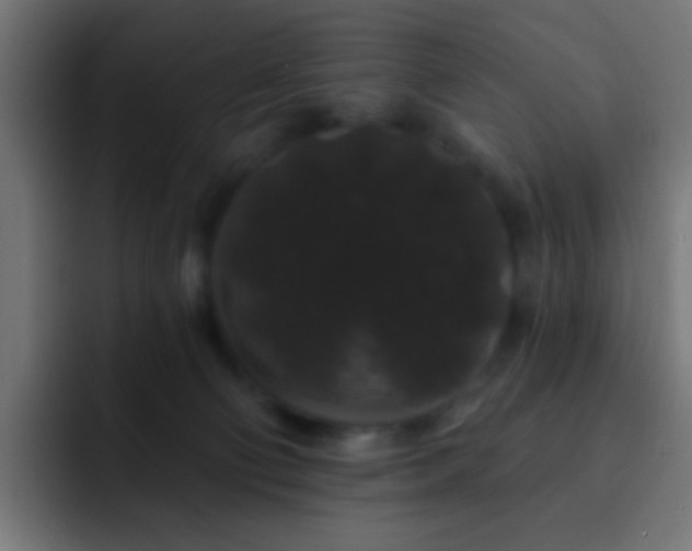 X0000093140130200710031417