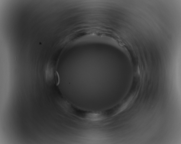 X0000093140139200710031416