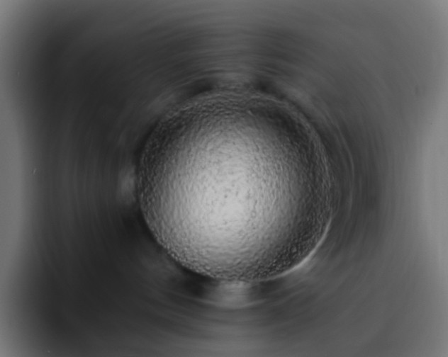 X0000093140144200710031416